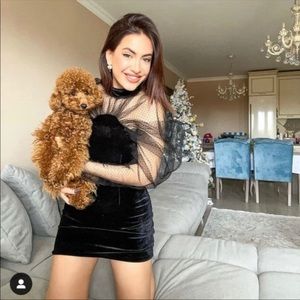 Zara Black velvet organza detail mini dress